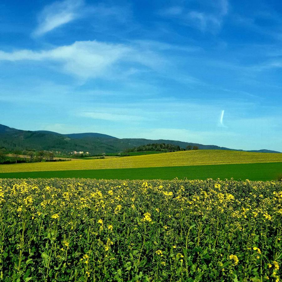 Agroturystyka Sielska Kraina Zabkowice Slaskie Esterno foto