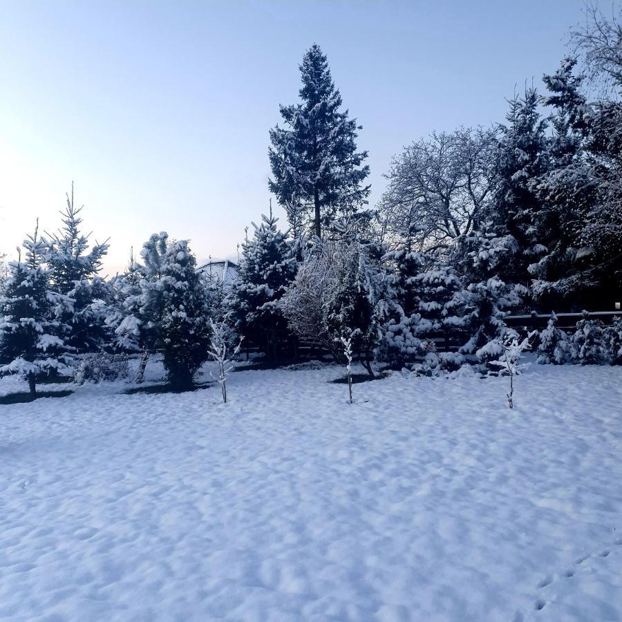 Agroturystyka Sielska Kraina Zabkowice Slaskie Esterno foto
