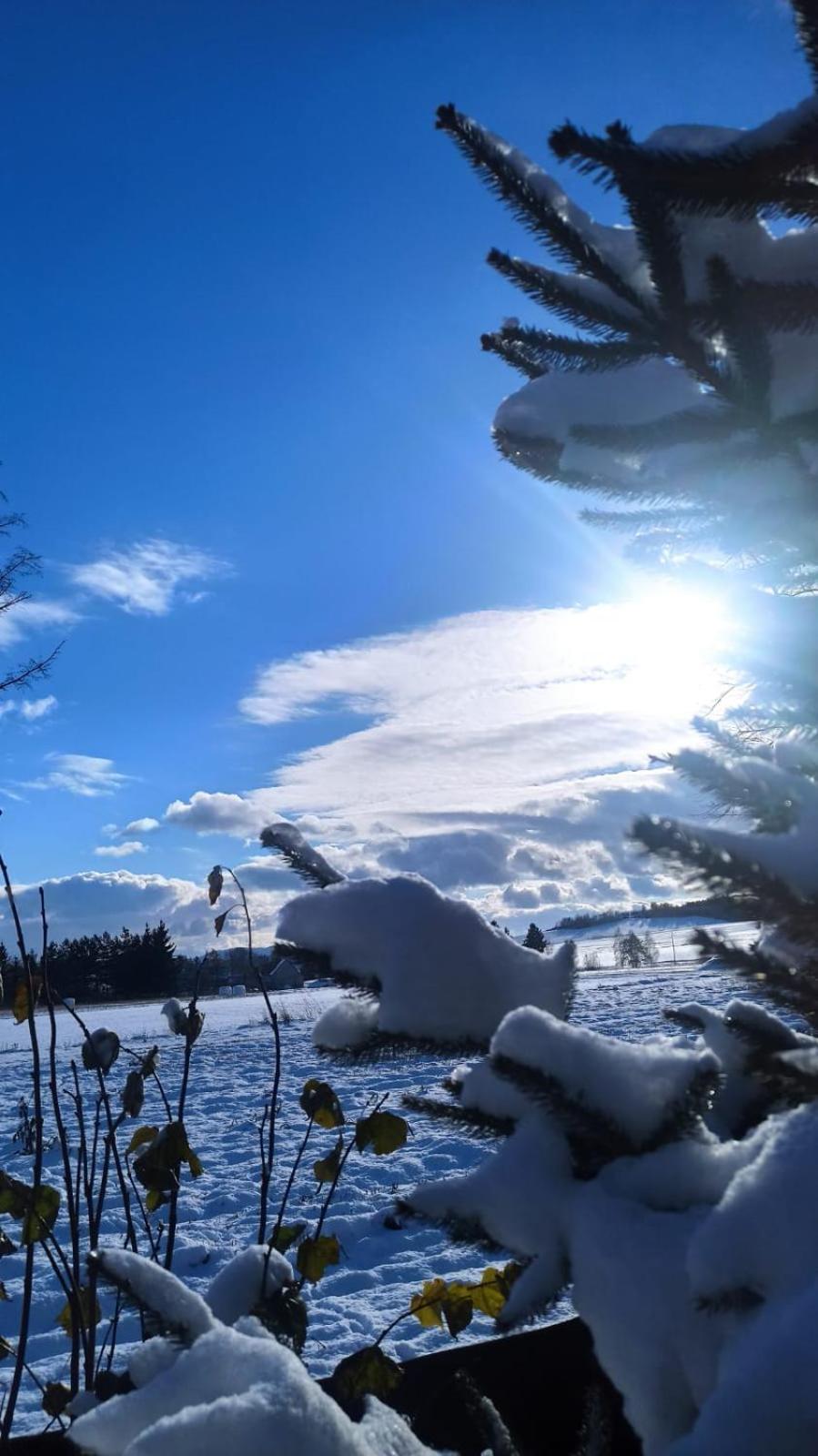 Agroturystyka Sielska Kraina Zabkowice Slaskie Esterno foto