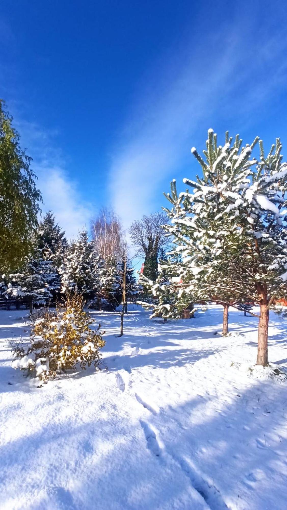 Agroturystyka Sielska Kraina Zabkowice Slaskie Esterno foto